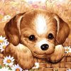 Cute Dog Paint By Numbers