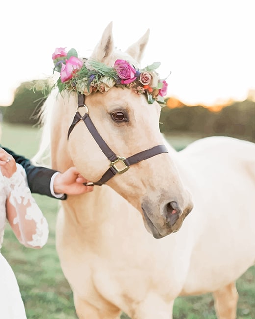 finalizing the Cute White Horse Paint By Numbers Artwork