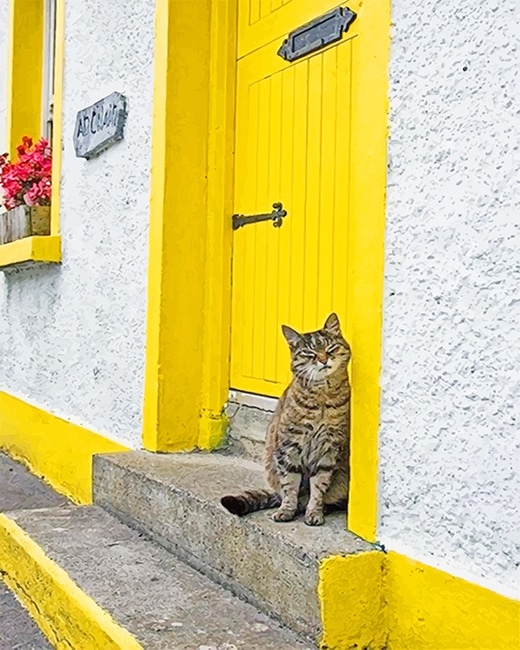 Finalizing the Cute Yellow Door Cat Artwork