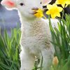 Cute Lamb in Green Pasture Paint By Numbers