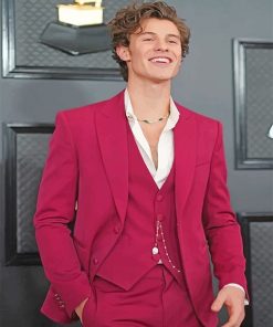 Shawn Mendes Celebrities Paint By Numbers