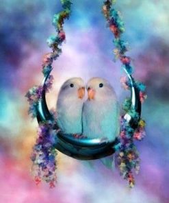 Cute Parakeet Birds Paint By Numbers