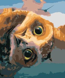 Owls of Ga'Hoole Creature Paint By Numbers