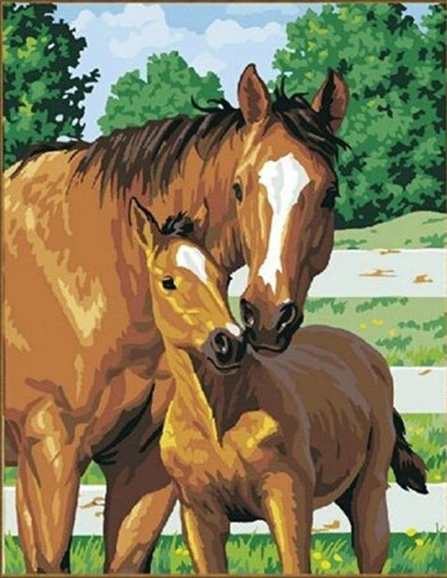 Abstract Horse and Foal Paint By Numbers