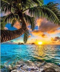 Sunlit Seaside Landscape Paint By Numbers