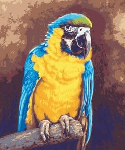 Macaw Birds Artistry Paint By Numbers