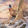 Quail Winter Scene Paint By Numbers