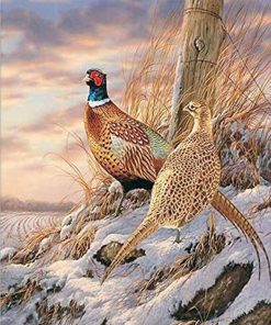 Quail Winter Scene Paint By Numbers