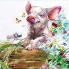 Animal Picture Paint By Numbers
