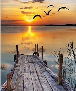 Lake Nature Landscape Sunrise Paint By Numbers