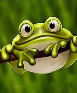 Green Frog Wildlife Paint By Numbers