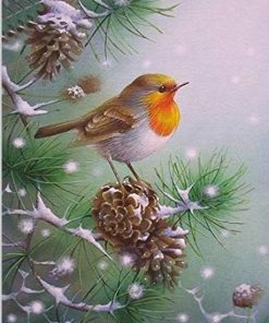 Christmas Bird Snow Scene Paint By Numbers