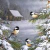 Winter Birds Painting Experience Paint By Numbers