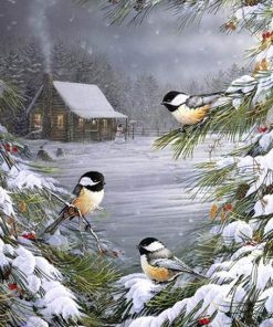 Winter Birds Painting Experience Paint By Numbers