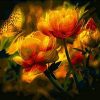 Orange Butterfly Flower Paint By Numbers
