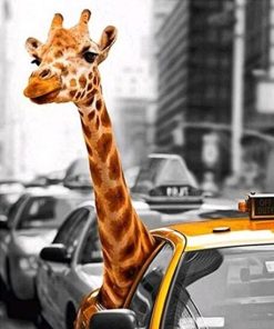 Giraffe Riding Taxi Painting By Numbers
