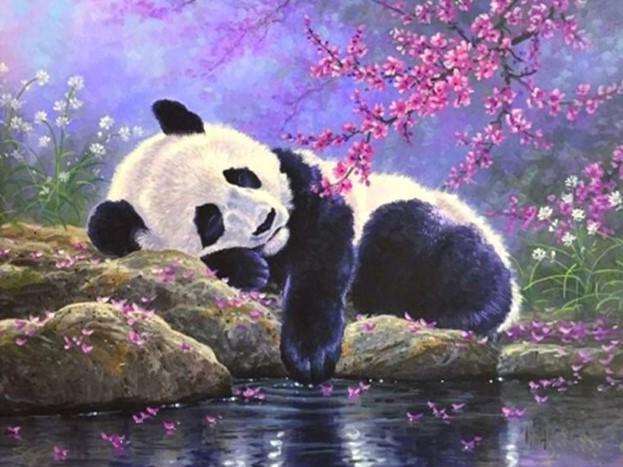 Finalizing Panda Artwork