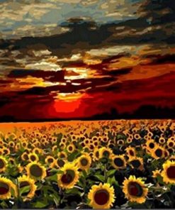 Sunflower Sunrise Paint By Numbers