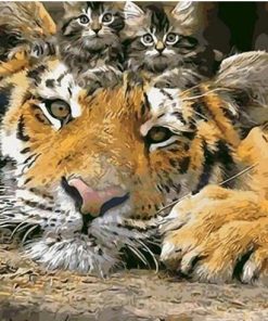Cute Tiger Kittens Paint By Numbers