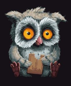 Owl and Biscuits Bird Paint By Numbers