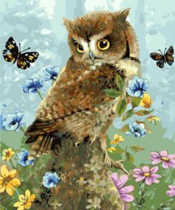 Owl and Butterfly Birds Flying Paint By Numbers