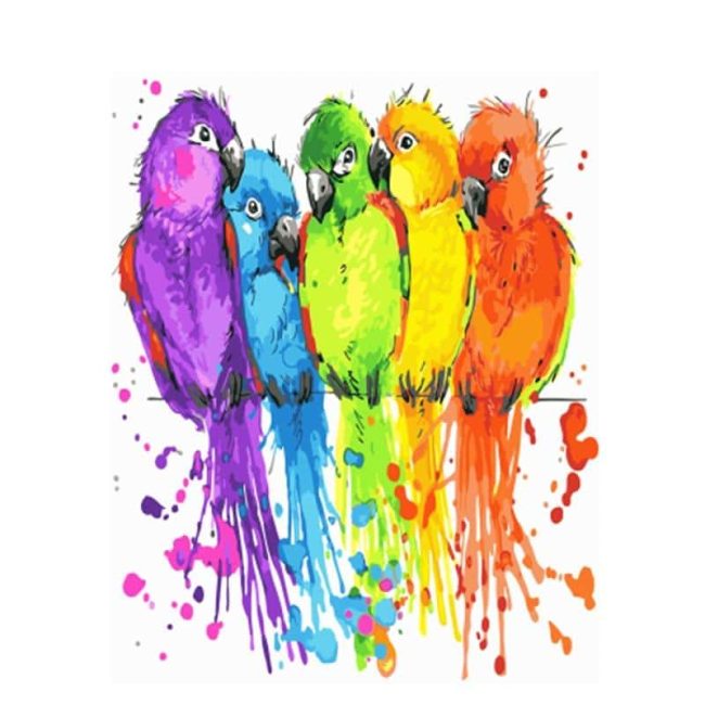 Colorful Parrot Birds Paint By Numbers