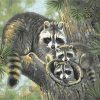 Raccoon Animal Paint By Numbers