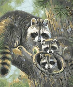 Raccoon Animal Paint By Numbers