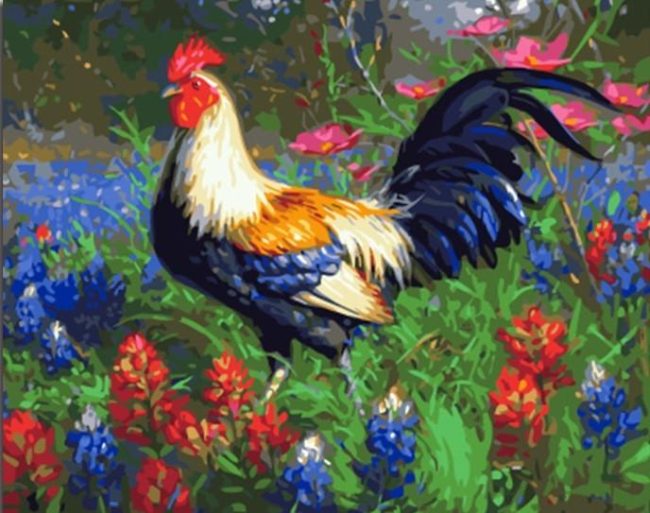 Rooster and Floral Bird Paint By Numbers