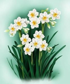 Daffodil Bloom Paint By Numbers