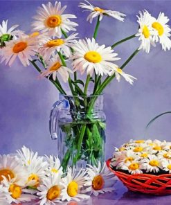 Daisy Flowers Paint By Numbers