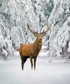 True Deer Snowy Landscape Paint By Numbers