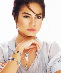 Demet Ozdemir Turkish Icon Paint By Numbers