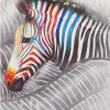 Zebra Animal Picture Paint By Numbers