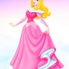 Disney Princess Aurora Collectible Paint By Numbers