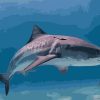 Great White Shark Paint By Numbers