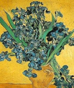 Vincent Van Gogh Irises Paint By Numbers