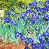 Van Gogh Irises Flower Paint By Numbers