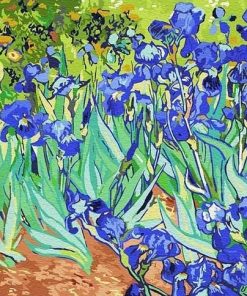 Van Gogh Irises Flower Paint By Numbers