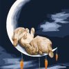 Moonlit Rabbit Paint By Numbers