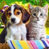 Pets Harmony Paint By Numbers