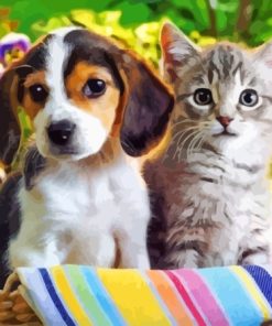 Pets Harmony Paint By Numbers