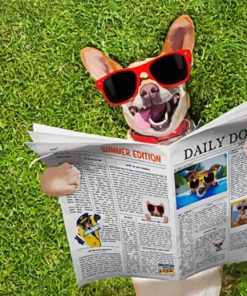 Dog Reading Glasses Paint By Numbers