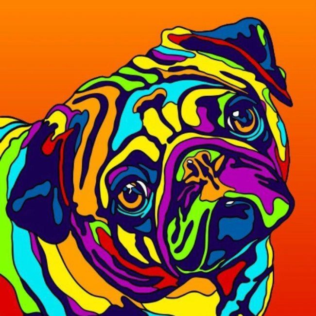 Rainbow Dog Pop Art Animals Paint By Numbers