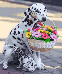 Dalmatian Flowers Basket Paint By Numbers
