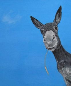 Charming Donkey Animals Paint By Numbers