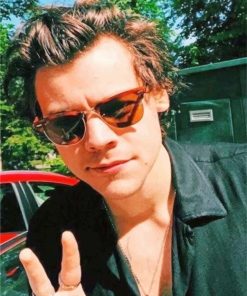 Harry Styles Singer Paint By Numbers