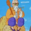 Master Roshi Anime Paint By Numbers