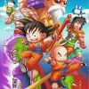 Dragon Ball Z Hero Paint By Numbers