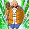 Master Roshi Dragon Ball Z Paint By Numbers